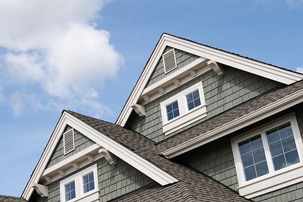 best roof repair auckland