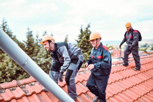 roofing companies auckland